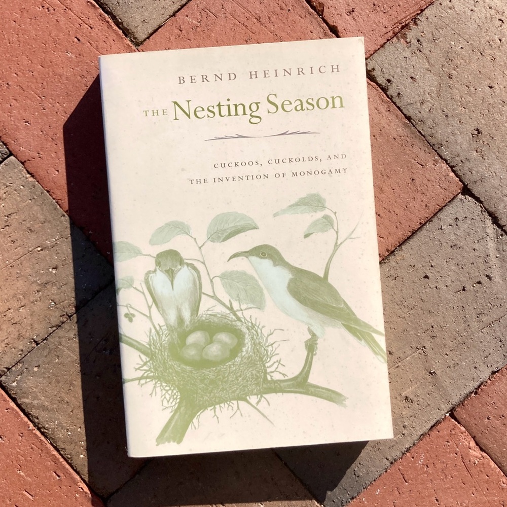 The Nesting Season: Cuckoos, Cuckolds & the Invention of Monogamy Bird Animals